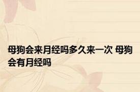 母狗会来月经吗多久来一次 母狗会有月经吗