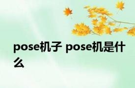 pose机子 pose机是什么