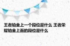 王者铂金上一个段位是什么 王者荣耀铂金上面的段位是什么