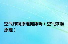 空气炸锅原理健康吗（空气炸锅原理）