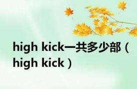 high kick一共多少部（high kick）