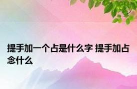 提手加一个占是什么字 提手加占念什么