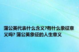 蒲公英代表什么含义?有什么象征意义吗? 蒲公英象征的人生意义