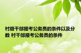 村级干部报考公务员的条件以及分数 村干部报考公务员的条件