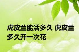 虎皮兰能活多久 虎皮兰多久开一次花