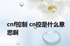 cnf控制 cn控是什么意思啊