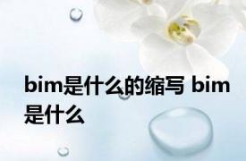 bim是什么的缩写 bim是什么