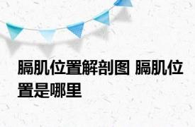 膈肌位置解剖图 膈肌位置是哪里