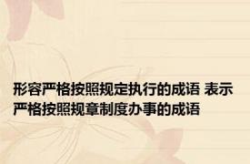 形容严格按照规定执行的成语 表示严格按照规章制度办事的成语