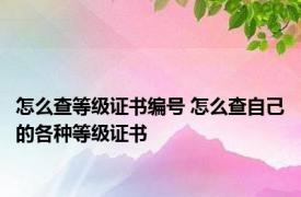 怎么查等级证书编号 怎么查自己的各种等级证书