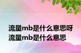 流量mb是什么意思呀 流量mb是什么意思