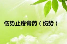 伤势止疼膏药（伤势）