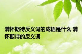 满怀期待反义词的成语是什么 满怀期待的反义词