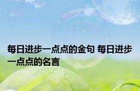 每日进步一点点的金句 每日进步一点点的名言