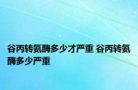 谷丙转氨酶多少才严重 谷丙转氨酶多少严重