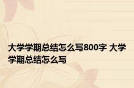 大学学期总结怎么写800字 大学学期总结怎么写