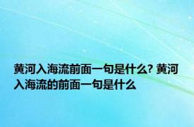 黄河入海流前面一句是什么? 黄河入海流的前面一句是什么