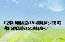 哈弗h6国潮版15t油耗多少钱 哈弗h6国潮版15t油耗多少