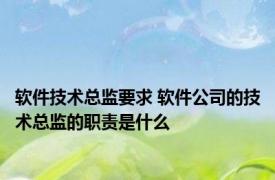 软件技术总监要求 软件公司的技术总监的职责是什么