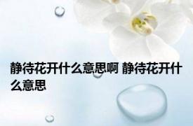 静待花开什么意思啊 静待花开什么意思 