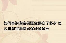 如何查询淘宝保证金是交了多少 怎么看淘宝消费者保证金余额