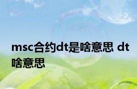 msc合约dt是啥意思 dt啥意思