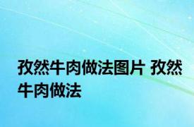 孜然牛肉做法图片 孜然牛肉做法