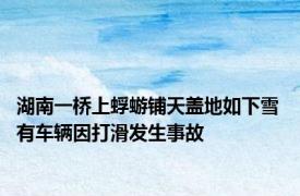 湖南一桥上蜉蝣铺天盖地如下雪 有车辆因打滑发生事故