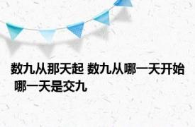 数九从那天起 数九从哪一天开始 哪一天是交九