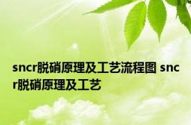 sncr脱硝原理及工艺流程图 sncr脱硝原理及工艺