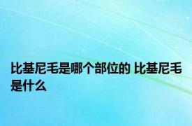 比基尼毛是哪个部位的 比基尼毛是什么