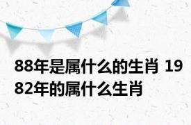 88年是属什么的生肖 1982年的属什么生肖