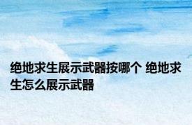 绝地求生展示武器按哪个 绝地求生怎么展示武器