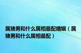 属猪男和什么属相最配婚姻（属猪男和什么属相最配）