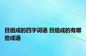 目组成的四字词语 目组成的有哪些成语