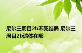 尼尔三周目2b不死结局 尼尔三周目2b遗体在哪