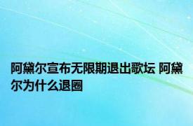 阿黛尔宣布无限期退出歌坛 阿黛尔为什么退圈