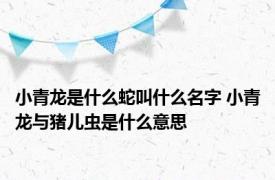 小青龙是什么蛇叫什么名字 小青龙与猪儿虫是什么意思