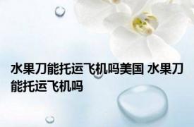 水果刀能托运飞机吗美国 水果刀能托运飞机吗