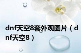 dnf天空8套外观图片（dnf天空8）