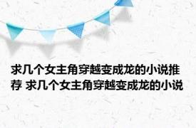 求几个女主角穿越变成龙的小说推荐 求几个女主角穿越变成龙的小说