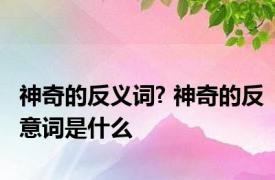 神奇的反义词? 神奇的反意词是什么