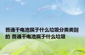 普通干电池属于什么垃圾分类类别的 普通干电池属于什么垃圾