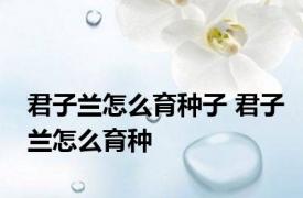 君子兰怎么育种子 君子兰怎么育种