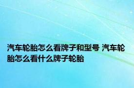 汽车轮胎怎么看牌子和型号 汽车轮胎怎么看什么牌子轮胎