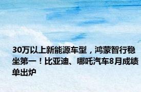 30万以上新能源车型，鸿蒙智行稳坐第一！比亚迪、哪吒汽车8月成绩单出炉