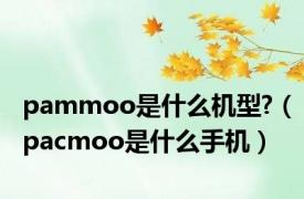 pammoo是什么机型?（pacmoo是什么手机）