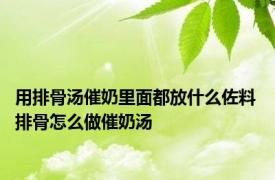 用排骨汤催奶里面都放什么佐料 排骨怎么做催奶汤