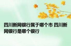 四川新网银行属于哪个市 四川新网银行是哪个银行