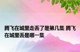 腾飞在城里走丢了是第几集 腾飞在城里丢是哪一集